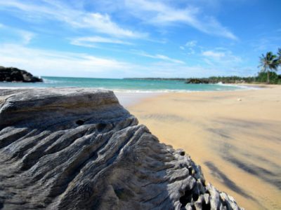 Total signed a deal with the Sri Lankan government to explore oil on the island’s east coast, the Petroleum Resources Development Ministry said in a statement on Thursday.